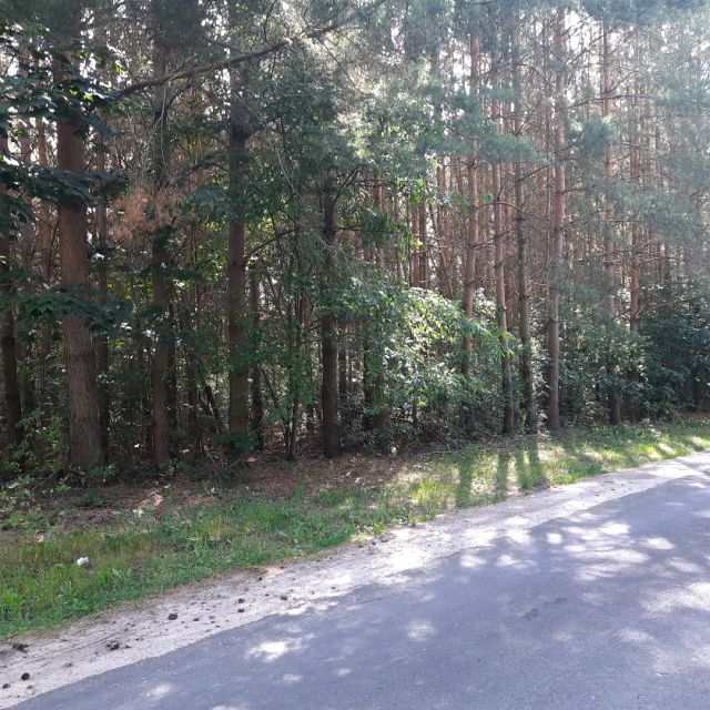 Zdjęcie 3