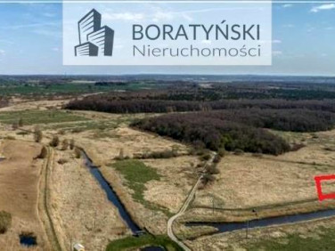 Działka rekreacyjna Łabusz