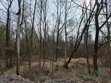 Działka Kaniów