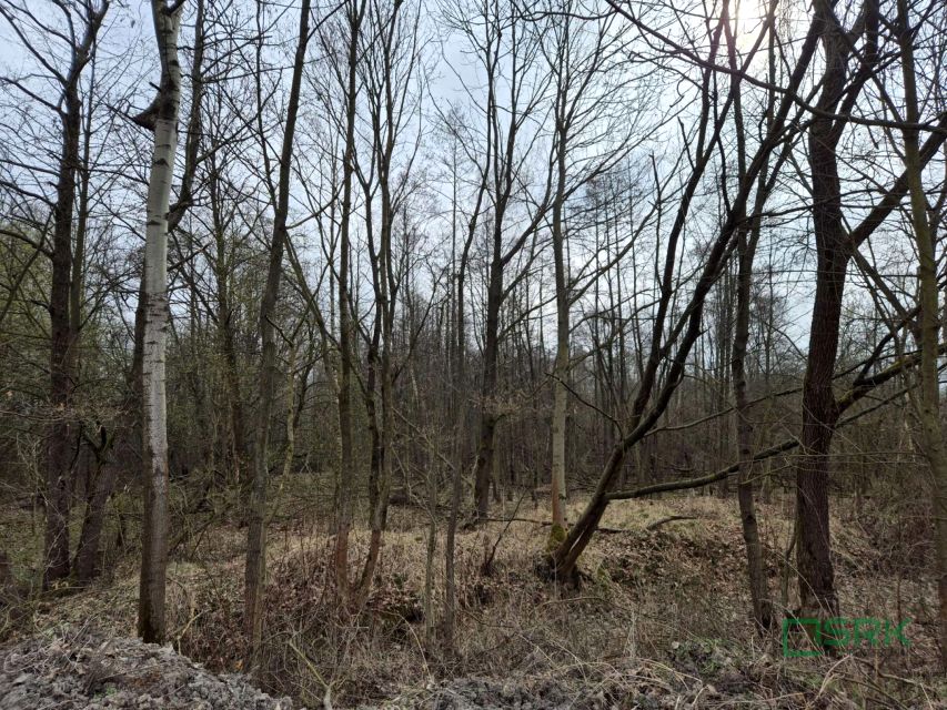 Działka Kaniów