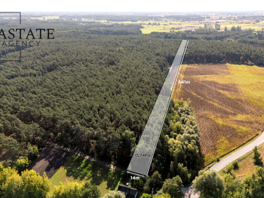 Działka leśna Maurzyce