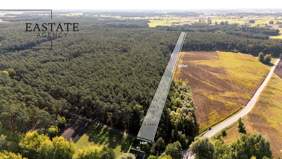 Działka leśna Maurzyce