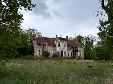 Działka rolna Czaplice