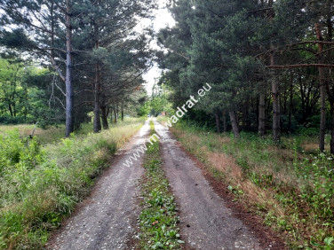 Działka budowlana Strzeniówka