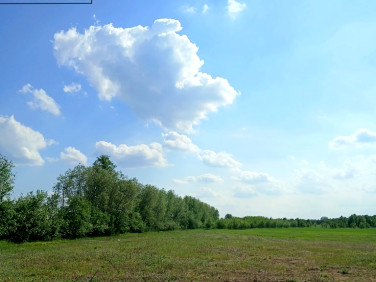 Działka Wincentów