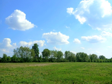 Działka Wincentów