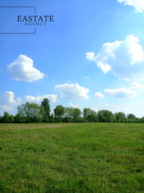 Działka Wincentów