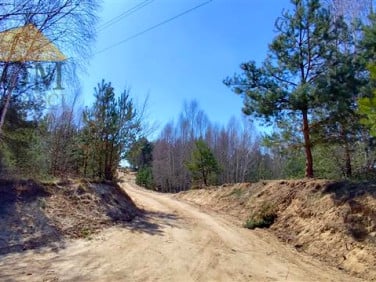 Działka Trzebuń