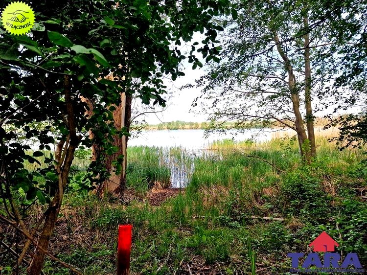 Działka nad jeziorem