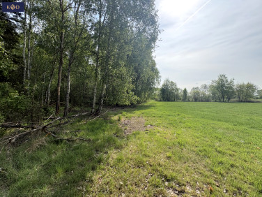 Działka Wierzchy