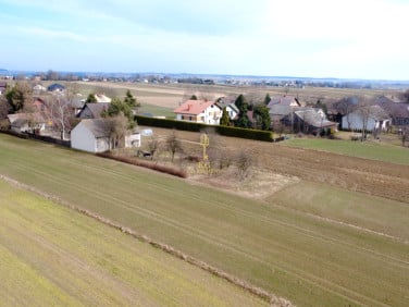 Działka Celiny