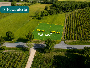 Działka przy lesie