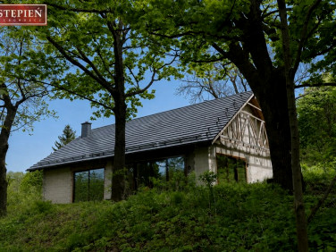 Dom Mniszków