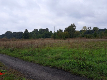 Działka rolna Ostrzeszów sprzedam
