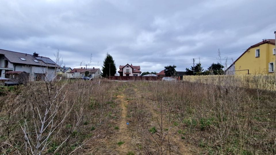 Zdjęcie 2