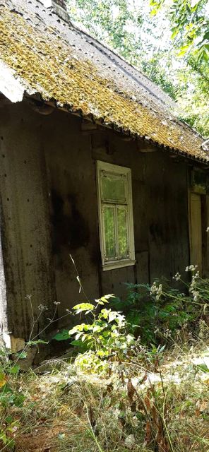 Działka siedliskowa Topolany