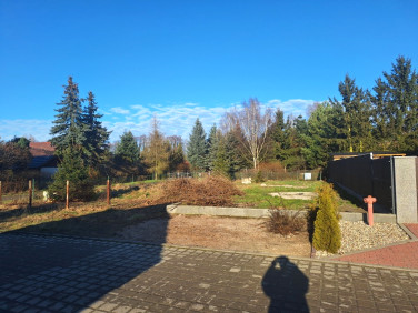 Działka budowlana Zielona Góra