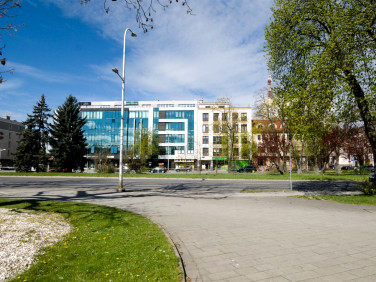 Lokal Kielce