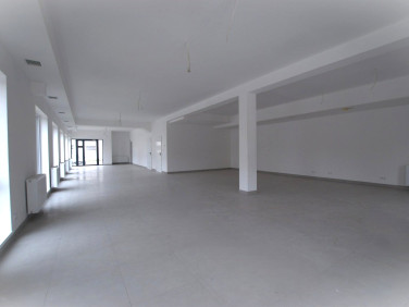Lokal Kielce