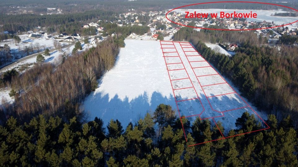 Działka budowlana Daleszyce