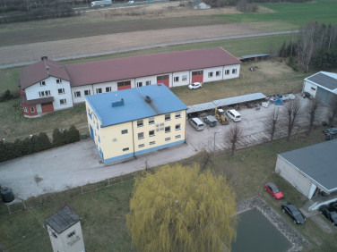Budynek użytkowy Jędrzejów
