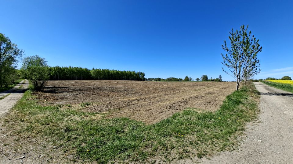 Działka inwestycyjna Żuława
