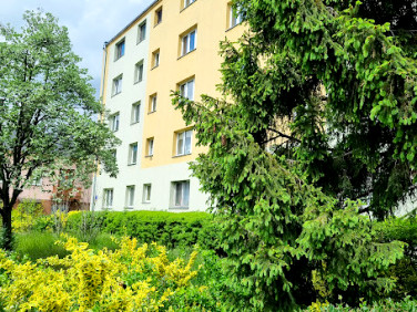 Mieszkanie Wołomin