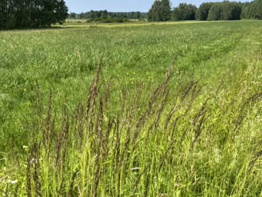 Działka budowlana Grabina