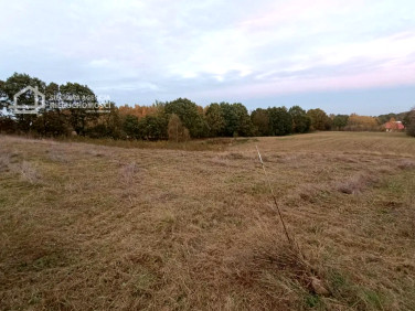 Działka budowlana Skrzeszewo