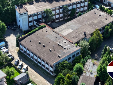 Lokal Bielsko-Biała