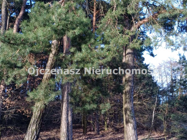 Działka budowlana Toporzysko