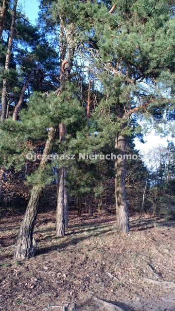 Działka budowlana Toporzysko