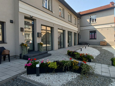 Lokal Żory