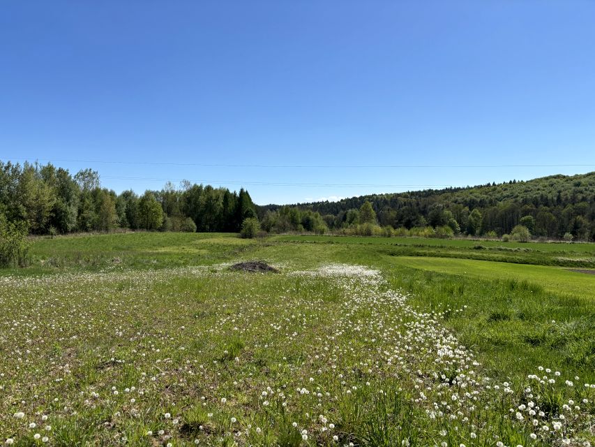 Działka Zalas