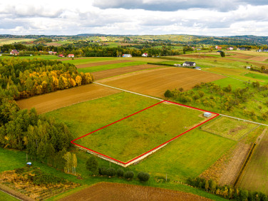 Działka Tworkowa