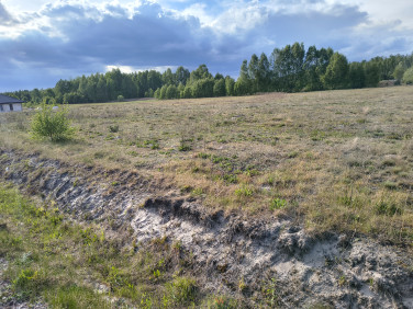 Działka budowlana Wola Starogrodzka