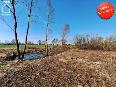 Działka inwestycyjna Cisy