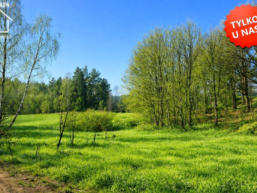 Działka inwestycyjna Grzybno
