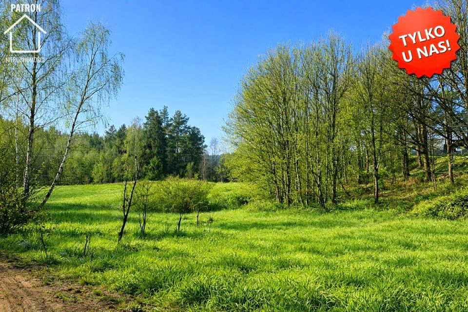 Działka inwestycyjna Grzybno