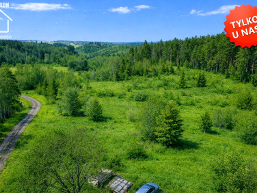 Działka siedliskowa Milwino