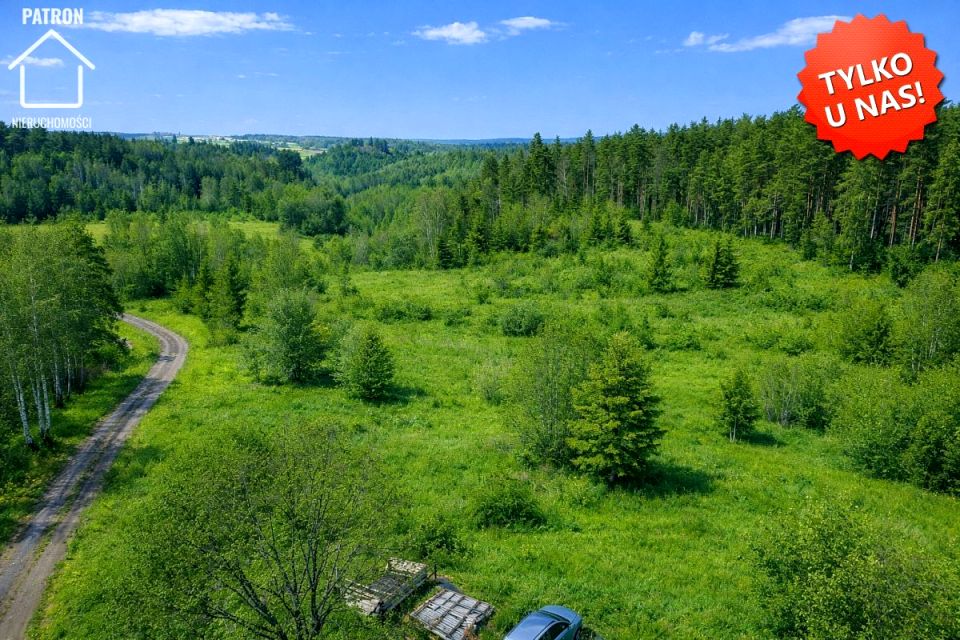 Działka siedliskowa Milwino