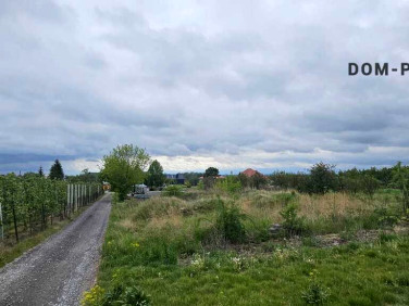 Działka budowlana Rybitwy