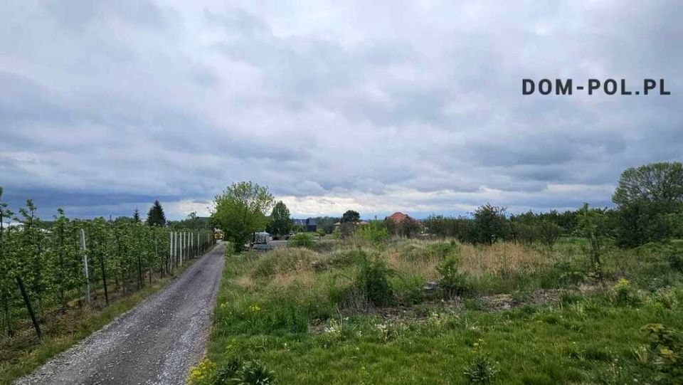 Działka budowlana Rybitwy