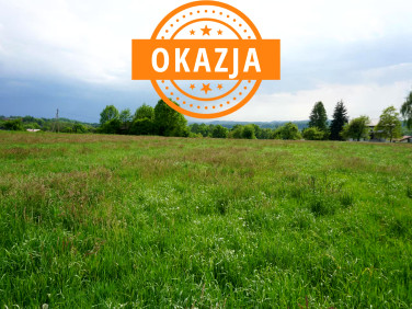 Działka Pogwizdów