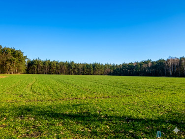 Działka Śródborze