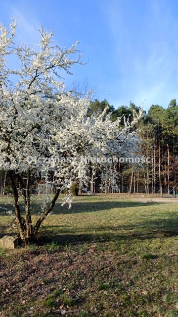 Działka budowlana Toporzysko