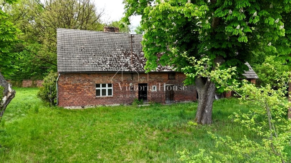 Dom Dąbrowa