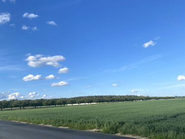 Działka rolna Konarskie