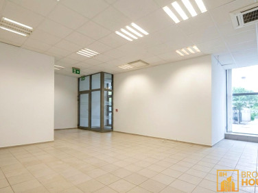 Lokal Opole