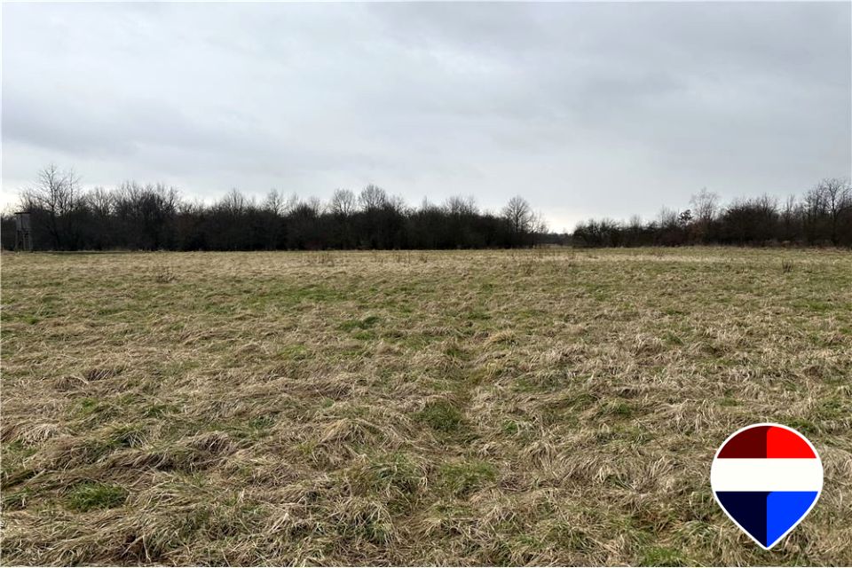 Działka Jankowice